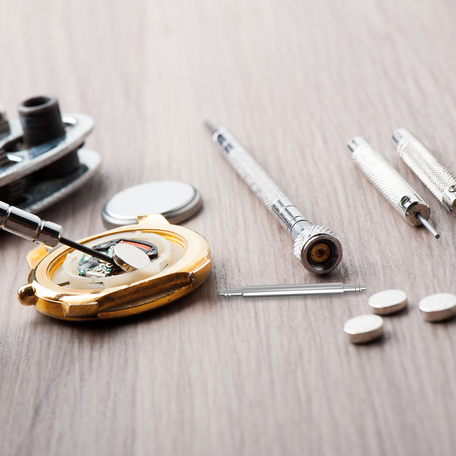 Watch Strap Replacement - 40-delige set roestvrijstalen horlogeveerstangen in diverse